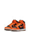 Dunk High Kadın Spor Ayakkabı nkDb2179-000