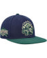 Фото #2 товара Men's Navy, Green Toronto Raptors Hardwood Classics Grassland Fitted Hat
