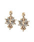 Фото #1 товара Women's Royal Drop Earrings