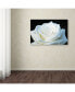 Фото #3 товара Kurt Shaffer 'White Rose II' Canvas Art - 24" x 16"