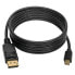 Фото #2 товара EATON P583-006-BK DisplayPort To Mini DisplayPort 1.4 Cable displayport cable