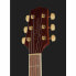 Фото #6 товара Takamine GD51CE-BSB