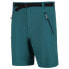 REGATTA Xert Stretch III Shorts