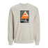 Фото #1 товара JACK & JONES 12256507 sweatshirt