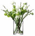 Фото #4 товара Аксессуары для цветов LSA Колонна Ваза/Свечной стакан, прозрачный