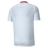 Фото #5 товара [757278-02] Mens Puma AC MILAN AWAY SHIRT REPLICA