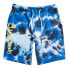 QUIKSILVER Sweet Day Dye Sweat Shorts