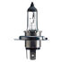 Фото #1 товара PHILIPS H4 Vision Moto 12V 60/55W Halogen Bulb