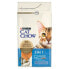 Фото #1 товара Корм для котов Purina Cat Chow Для взрослых индейка 1,5 Kg