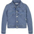 Фото #1 товара TOMMY HILFIGER Trucker denim jacket