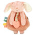Itzy Lovey, Plush Lovey With Silicone Teether, 0+ Months, Ana The Bunny, 1 Teether