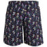 NEWWOOD Elmariachi Swimming Shorts