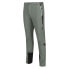 REGATTA Mountain III pants