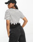 Miss Selfridge boxy short sleeve stripe crop top with lace hem in black and white