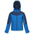 Фото #3 товара REGATTA Eastcott II softshell jacket