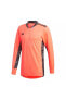 Фото #1 товара Футболка Adidas Adipro 20 Gk Long Sleeve