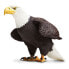 Фото #1 товара SAFARI LTD Bald Eagle Figure