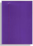 Фото #1 товара penmate Folder with elastic A4 violet