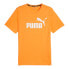 Puma 58666758