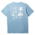 Фото #4 товара QUIKSILVER Tropical Breeze short sleeve T-shirt