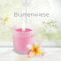 Duftkerze im Glas Blumenwiese 105g, 1 St