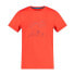 ფოტო #2 პროდუქტის CMP T-Shirt 31T8394 short sleeve T-shirt