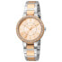 Ladies' Watch Esprit ES1L228M0065