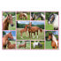 Puzzle Schöne Pferde 150 Teile