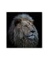 Фото #1 товара Louise Wolbers 'Proud Lion' Canvas Art - 24" x 24" x 2"