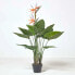 Фото #5 товара Искусственные цветы Homescapes Königsstrelitzieующие Strelitzia Reginae.