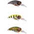 Фото #2 товара SPRO Fat Iris CR crankbait 11g 50 mm