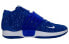Nike KD 14 TB "Game Royal" DM5040-401 Basketball Shoes