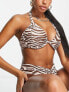 Ivory Rose Fuller Bust high waist high leg bikini brief in zebra print