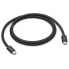 Фото #1 товара USB-C-кабель Apple MU883ZM/A Чёрный 1 m thunderbolt 4