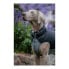 Фото #2 товара Пальто для собак Red Dingo Puffer Черный/Серый 60 cm