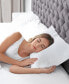 Bedding 2-Piece Down Alternative Sleep Pillows Set, Body