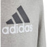 ADIDAS Bl 2 hoodie