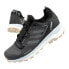 Фото #1 товара Buty Adidas Terrex Skychaser 2 GTX [FW2994]