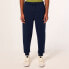 Фото #1 товара OAKLEY APPAREL Relax Jogger 2.0 Tracksuit Pants