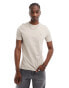 AllSaints Brace brushed cotton t-shirt in stone