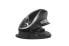 Фото #1 товара Bakker Oyster Mouse Wireless - Black