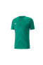 Teamglory Jersey Erkek Futbol Forması 70501705 Yeşil