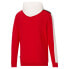 Худи PUMA Essentials Block Pullover Men's Red Casual