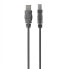 Фото #1 товара Belkin USB 2.0 A - USB 2.0 B - 3m - 3 m - USB A - USB B - USB 2.0 - Male/Male - Grey