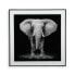 Фото #8 товара Картина стеклянная Versa Слон 2 x 50 x 50 см