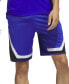 ფოტო #6 პროდუქტის Men's Pro Block Loose-Fit Basketball Shorts