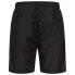 Фото #2 товара LONSDALE Carnkie Swimming Shorts