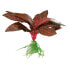 ფოტო #2 პროდუქტის FERPLAST F69075000 3.5x2x10 cm Aquarium Silk Plant