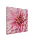 Фото #2 товара Alonzo Saunders Wall Flower VII Canvas Art - 15" x 20"