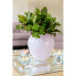 Фото #2 товара Vase Livia